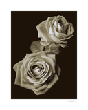 Heartfelt II Prints by Bill Philip
