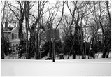 Basketball Hoop Sag Harbor NY Prints