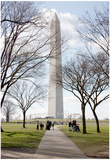 Washington Monument DC Posters