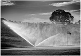 Golf Course on Shelter Island NY Posters