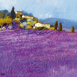 Wild Lavender, Provence Prints by Hazel Barker
