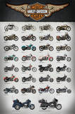 Harley Evolution Posters