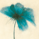 Floral Burst I Prints by Emma Forrester