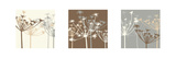 Meadow Triptych II Prints by Julie Lavender