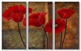 Poppies on Spice Triptych Art Wood Sign