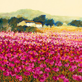 Le Jardin Rouge, Provence Prints by Hazel Barker