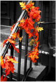 Colorful Autumn Leaves on Railing Prints