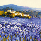 Champs d'Iris, Provence Prints by Hazel Barker