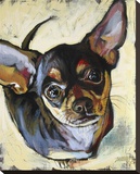All Bark Stretched Canvas Print by Jared Kelley
