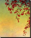A Study in Scarlet I Stretched Canvas Print by Linda Plaisted