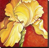 Luminosita Stretched Canvas Print by Elisa Nucci