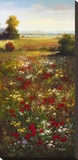 Wildflower Meadow II Stretched Canvas Print by Arcobaleno 