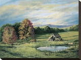 By The Pond Stretched Canvas Print by John Pomeroy