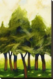 Shade Trees Stretched Canvas Print by Jimpsie Ayres