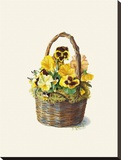 Sunshine Pansy Basket Stretched Canvas Print by Mary Kay Krell