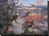 Lofty Perch Stretched Canvas Print by Rudi Reichardt