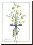 Chamomile Stretched Canvas Print by Bambi Papais