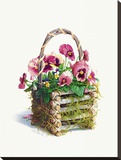 Log Cabin Pansy Basket Stretched Canvas Print by Mary Kay Krell