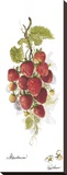 Fraises Reproduction transférée sur toile par Peggy Abrams