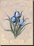 Tulips Azure Stretched Canvas Print by Peggy Abrams