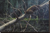 Wildes & Dreams Stretched Canvas Print by Patrick A. Lundquist