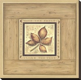 The Fruit Leaf Reproduction transférée sur toile par Constance Lael