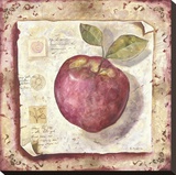 An Apple Page Stretched Canvas Print by  Martin