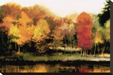 Colorful Shoreline Stretched Canvas Print by Robert Striffolino