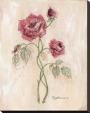 Rose miniature II Reproduction transférée sur toile par Peggy Abrams