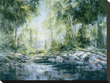 Rite Of Summer Stretched Canvas Print by Doug Oliver