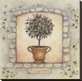 Pomegranates Topiary Stretched Canvas Print by Susan Winget