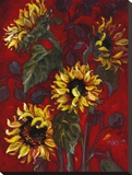 Sunflowers I Stretched Canvas Print by Shari White