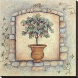 Figs Topiary Stretched Canvas Print by Susan Winget