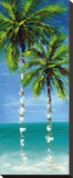 Coastal Palm IV Stretched Canvas Print by J. Martin