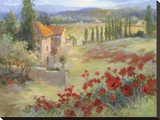 Fattoria d'Umbria Stretched Canvas Print by Ruth Baderian