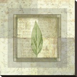 Leaf Carre III Stretched Canvas Print by Pierre Fortin