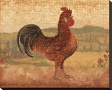 Florentine Rooster II Leinwand von Lisa Ven Vertloh