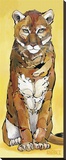 Nice Kitty Stretched Canvas Print by Amy Ringholz