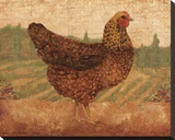 Tuscan Hen I Stretched Canvas Print by Lisa Ven Vertloh
