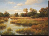 Southern Bayou Stretched Canvas Print by Charles Morton