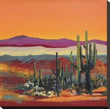 In The Strong Texas Light Reproduction transférée sur toile par Patrick Coffaro
