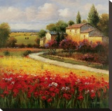 Tuscan Summer Stretched Canvas Print by Ben Harris