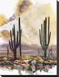 Sonoran Sentinels Stretched Canvas Print by Adin Shade