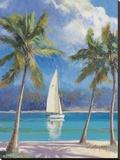 Island Breeze Stretched Canvas Print by Nenad Mirkovich