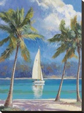 Island Breeze Stretched Canvas Print by Nenad Mirkovich