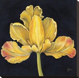 Iris Jaune Reproduction transférée sur toile par Constance Lael