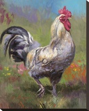 Purple Rooster Stretched Canvas Print by Nenad Mirkovich