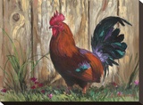 Bantie Rooster Stretched Canvas Print by Nenad Mirkovich