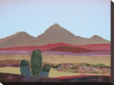 Moody Camelback Stretched Canvas Print by Patrick Coffaro