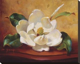 Magnolia Glow I Reproduction transférée sur toile par Fran Di Giacomo